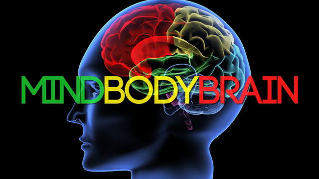 MindBodyBrain
