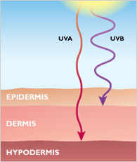 uv_skin