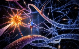 Neuroplasticity