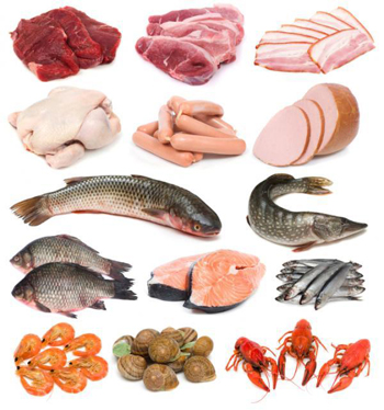 b12_foods