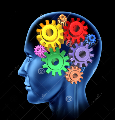 brain