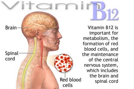 vitamin-b12-benefits1