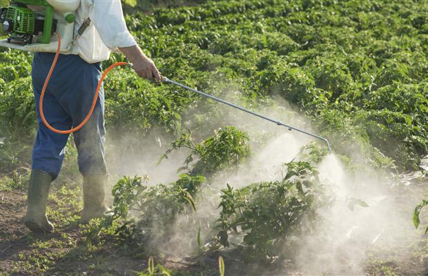 pesticide