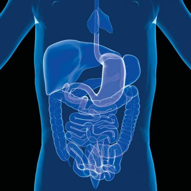probiotics probiotics
