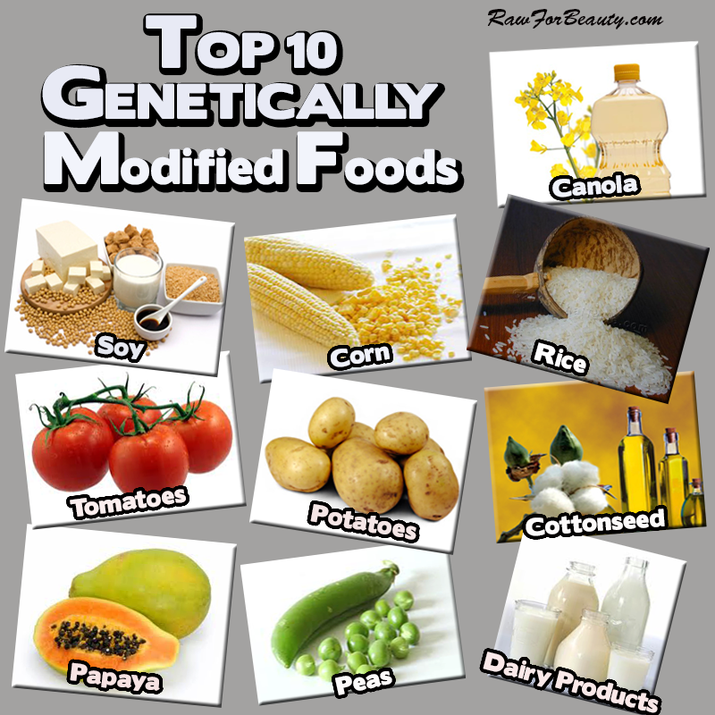 top_ten_genetically_modified_foods top_ten_genetically_modified_foods